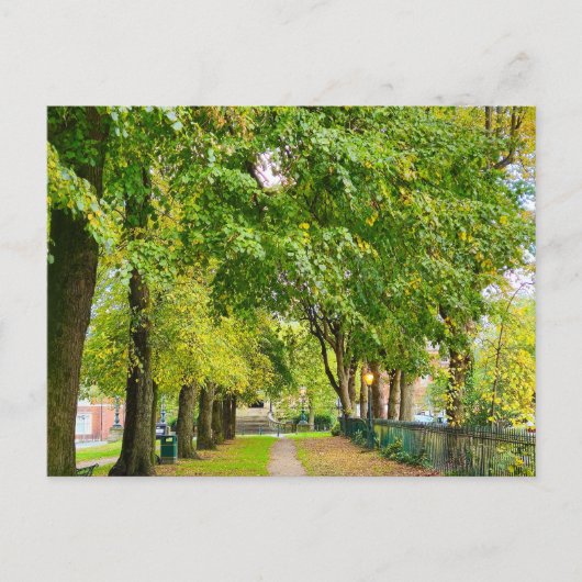 Herbst Postkarte (Vorderseite)