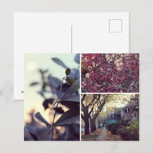 Herbst Postkarte (Vorne/Hinten)