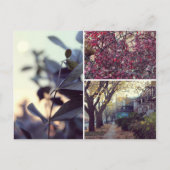 Herbst Postkarte (Vorderseite)