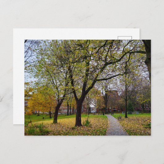 Herbst Postkarte (Vorne/Hinten)