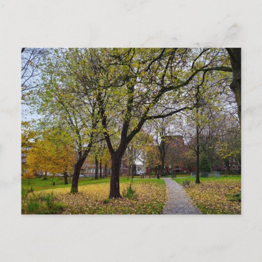 Herbst Postkarte (Vorderseite)