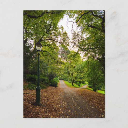 Herbst Postkarte (Vorderseite)