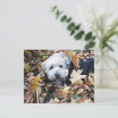 Herbst Postkarte (Stehend Vorderseite)