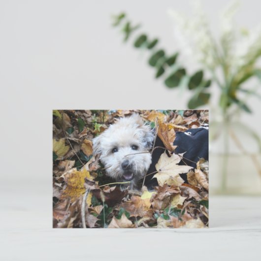 Herbst Postkarte (Stehend Vorderseite)