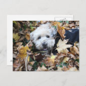 Herbst Postkarte (Vorne/Hinten)