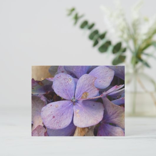 Herbst - Postkarte (Hortensia) (Stehend Vorderseite)