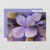 Herbst - Postkarte (Hortensia) (Vorne/Hinten)