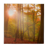 Herbst-Pracht Fliese (Vorderseite)