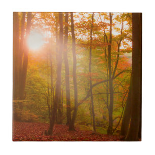 Herbst-Pracht Fliese