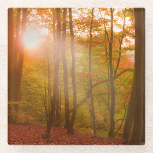 Herbst-Pracht Glasuntersetzer