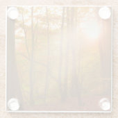 Herbst-Pracht Glasuntersetzer (Rückseite)