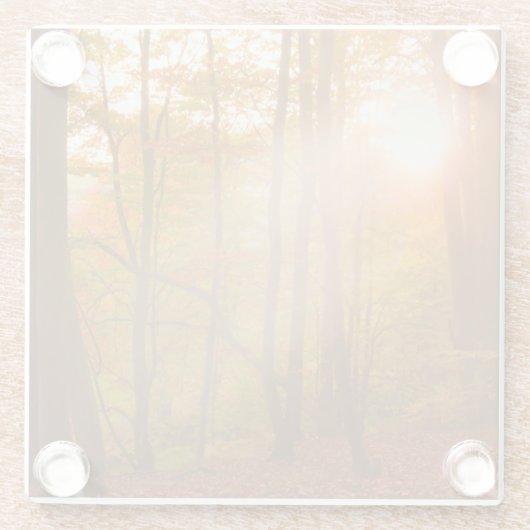 Herbst-Pracht Glasuntersetzer (Rückseite)