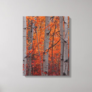 Herbst-Pracht Leinwanddruck