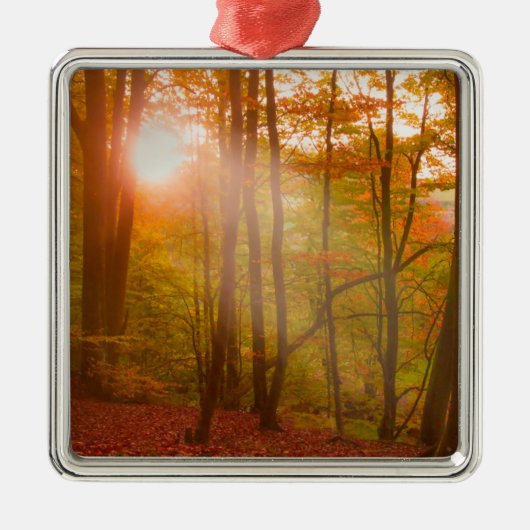 Herbst-Pracht Ornament Aus Metall (Vorne)