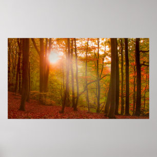 Herbst-Pracht Poster