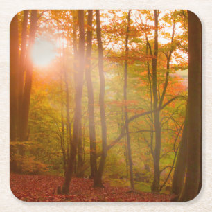 Herbst-Pracht Rechteckiger Pappuntersetzer