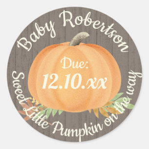 Herbst Pumpkin Baby Dusche Rustikale Runder Aufkleber