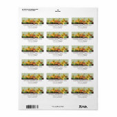 Herbst-Pumpkin-Patch Ernte der landwirtschaftliche Adressaufkleber (Vorne)