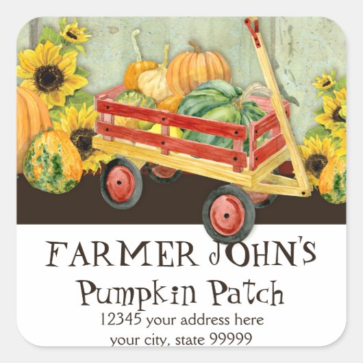 Herbst-Pumpkin-Patch Ernte der landwirtschaftliche Quadratischer Aufkleber (Vorderseite)