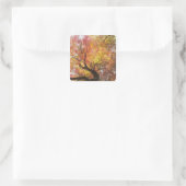 Herbst Quadratischer Aufkleber (Tasche)