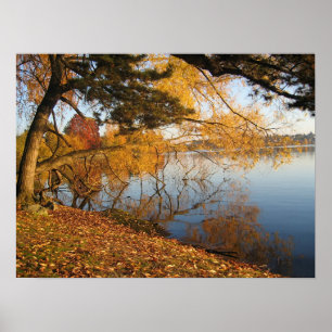 Herbst-Reflexion Poster