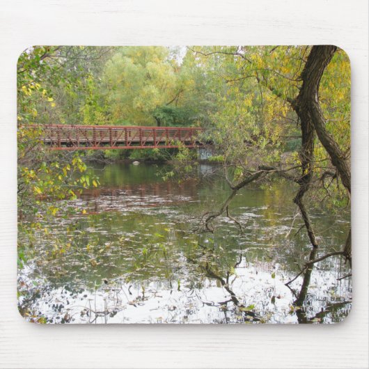 Herbst-Reflexionen Mousepad (Vorne)