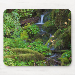 Herbst-Regenwald   Olympic-Nationalpark Mousepad