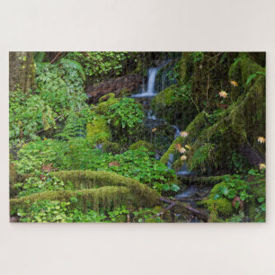 Herbst-Regenwald Olympic-Nationalpark Puzzle
