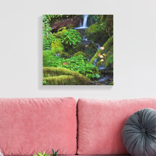 Herbst-Regenwald | Olympischer Nationalpark Leinwanddruck (Insitu (Wohnzimmer))