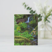 Herbst-Regenwald | Olympischer Nationalpark Postkarte (Stehend Vorderseite)
