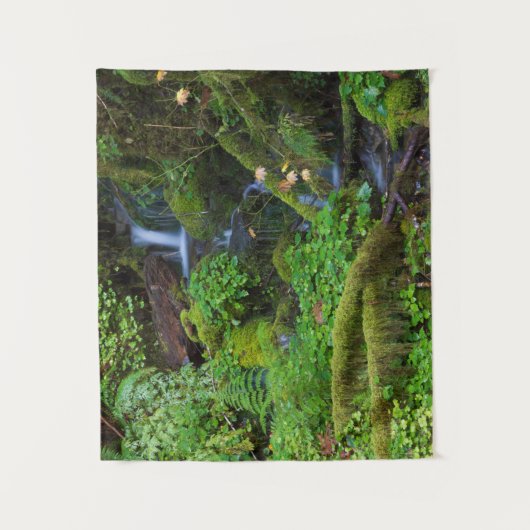 Herbst-Regenwald | Olympischer Nationalpark Wandteppich (Vorderseite)