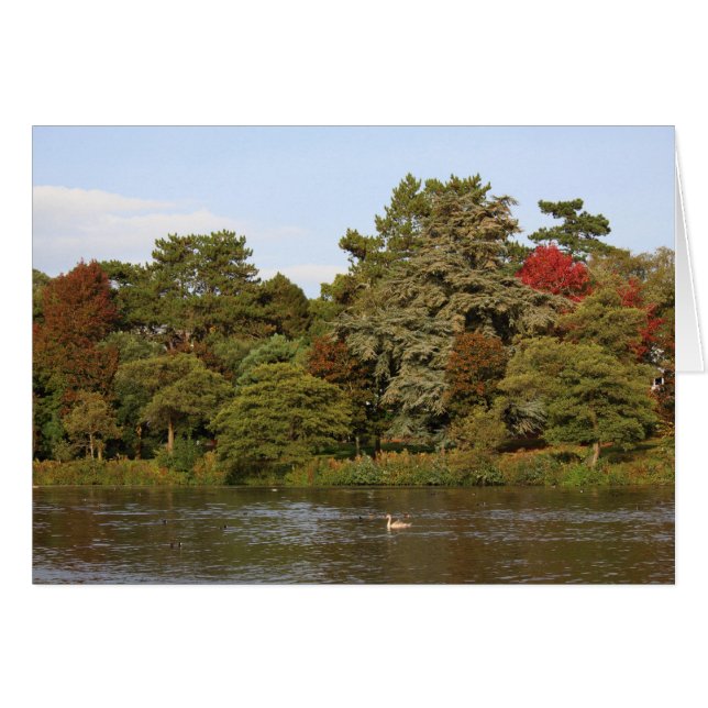 Herbst, Roath Park Lake, Cardiff (Vorderseite (Horizontal))