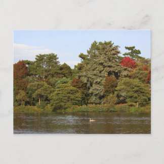 Herbst, Roath Park Lake, Cardiff Postkarte