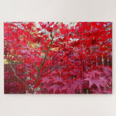Herbst-Rotahorn-Baum Puzzle (Horizontal)