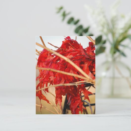 Herbst Rote Blätter/Herbst Postkarte (Stehend Vorderseite)