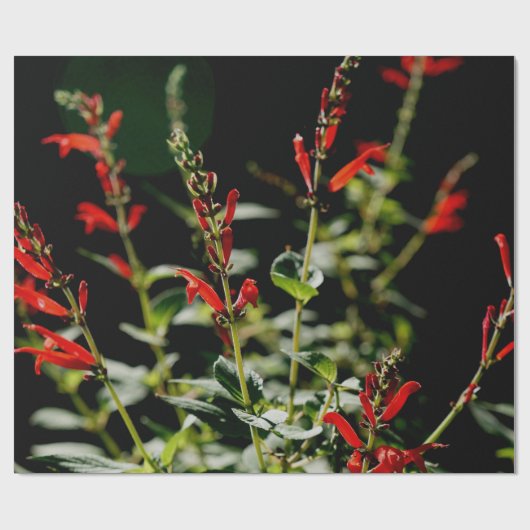 Herbst-rotes Geschenk Wraping Papier Geschenkpapier (Flach)