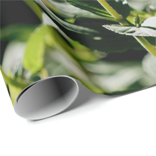 Herbst-rotes Geschenk Wraping Papier Geschenkpapier (Rolleneckpunkt)