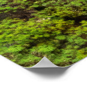 Herbst - Ruhe bringt Transzendenz Poster (Ecke)