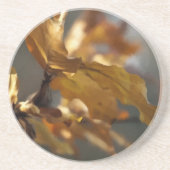 Herbst Sandstein Untersetzer (Vorne)