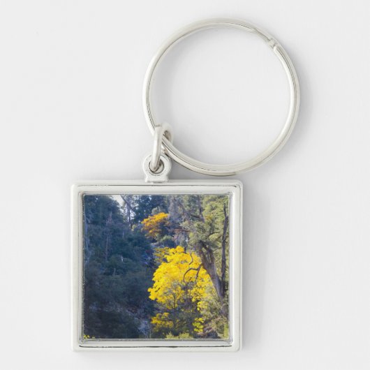 Herbst Schlüsselanhänger 6 (Vorne)