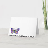 Herbst-Schönheit Karte (Rückseite)