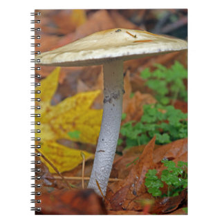 "Herbst Sentinel: Die Wildnis steht allein" Notizblock