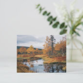 Herbst Serenade Finnisch Ruska Reflektionen Postkarte (Stehend Vorderseite)