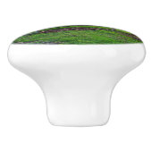 Herbst Sonnenuntergang von Shirley Taylor Keramikknauf (Seitenansicht)