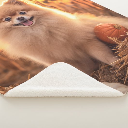 Herbst-Spitz Sherpadecke (3/4)