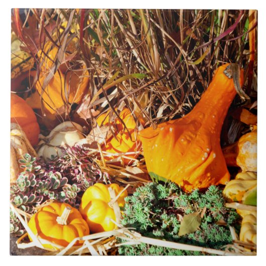 Herbst - Squash - Gefühl gequetscht Fliese (Vorderseite)