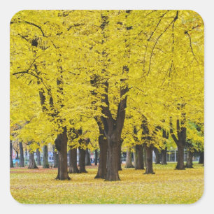 Herbst-Sticker Quadratischer Aufkleber