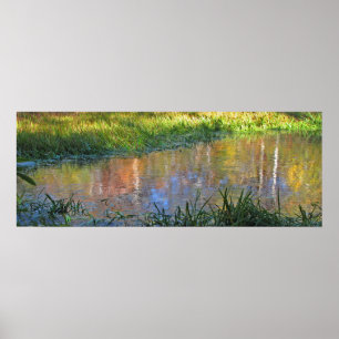 Herbst-Sumpf-Reflexionen Poster
