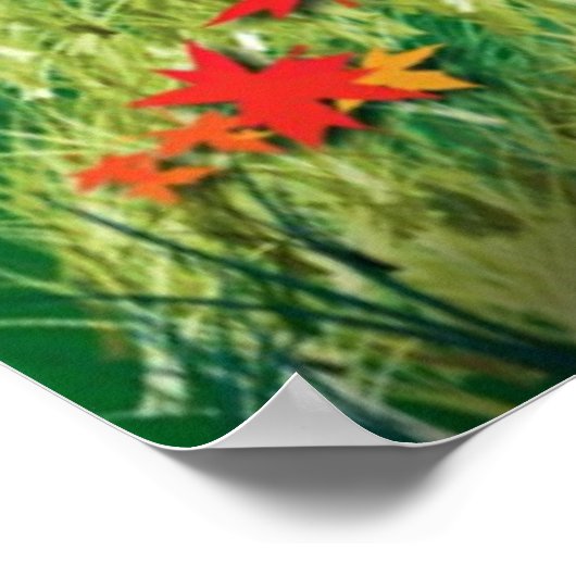 Herbst Sunset Poster (Ecke)