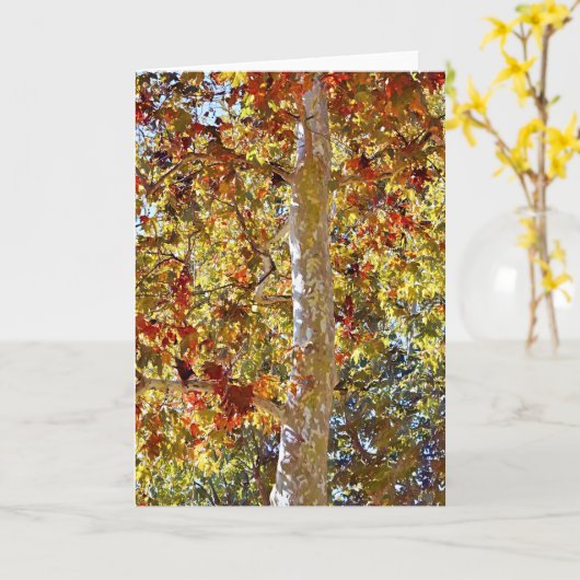 Herbst Sycamore Tree Art Note Card Karte (Gelbe Blume)